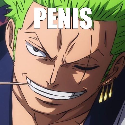 zoro pfp 0059