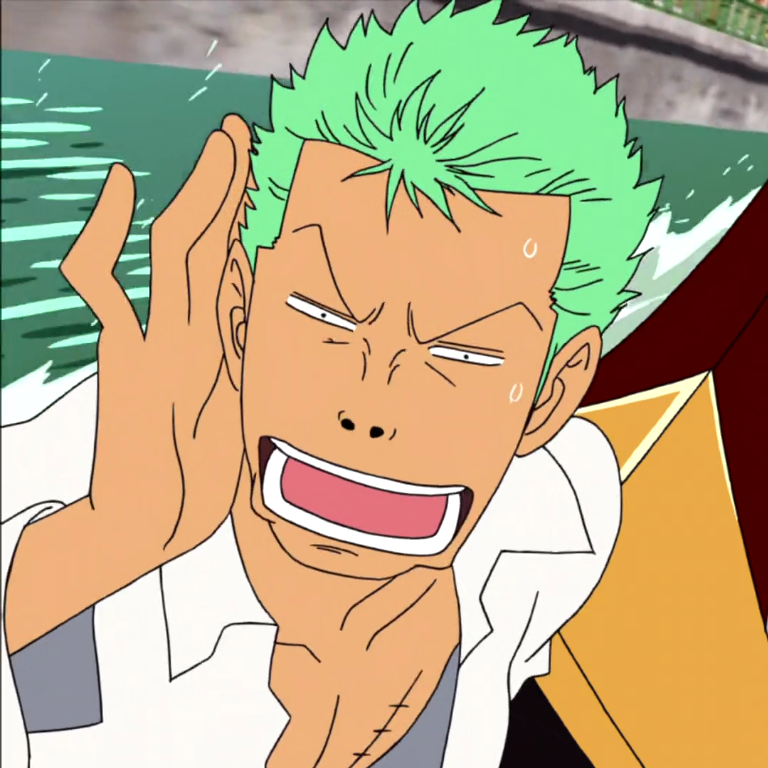 zoro pfp 0060