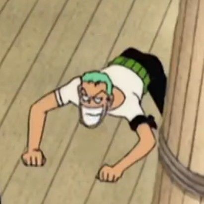 zoro pfp 0070