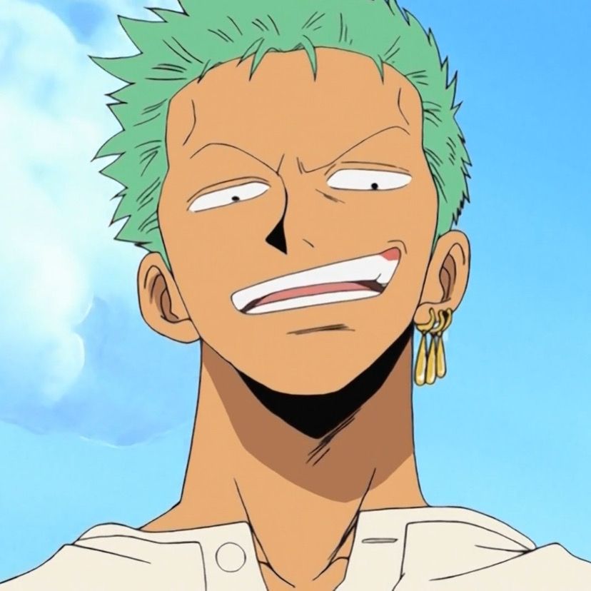 zoro pfp 0080