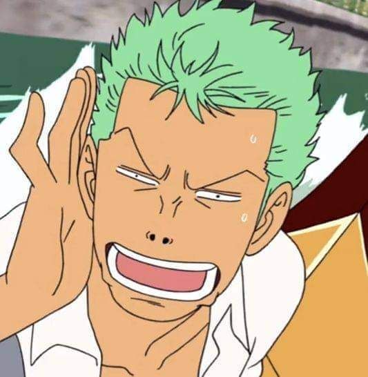 zoro pfp 0090