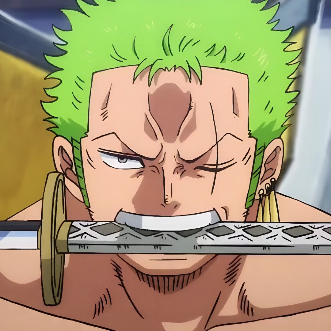 zoro pfp 0097