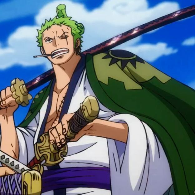 zoro pfp 0099